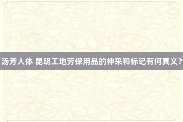 汤芳人体 昆明工地劳保用品的神采和标记有何真义？