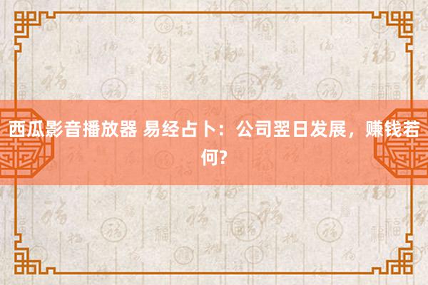 西瓜影音播放器 易经占卜：公司翌日发展，赚钱若何?