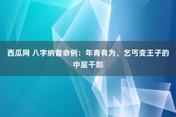 西瓜网 八字纳音命例：年青有为、乞丐变王子的中层干部