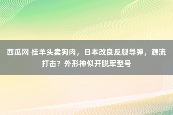 西瓜网 挂羊头卖狗肉，日本改良反舰导弹，源流打击？外形神似开脱军型号