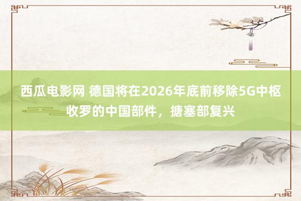 西瓜电影网 德国将在2026年底前移除5G中枢收罗的中国部件，搪塞部复兴