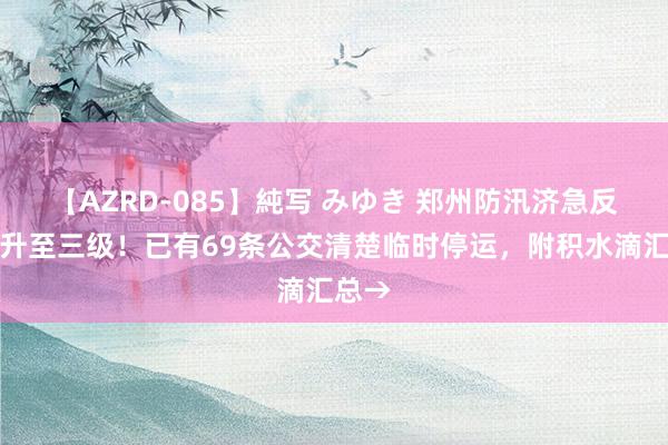 【AZRD-085】純写 みゆき 郑州防汛济急反应擢升至三级！已有69条公交清楚临时停运，附积水滴汇总→