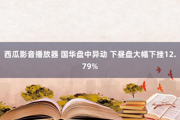 西瓜影音播放器 国华盘中异动 下昼盘大幅下挫12.79%