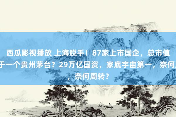 西瓜影视播放 上海脱手！87家上市国企，总市值只等于一个贵州茅台？29万亿国资，家底宇宙第一，奈何周转？