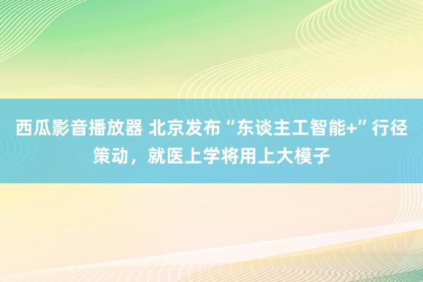 西瓜影音播放器 北京发布“东谈主工智能+”行径策动，就医上学将用上大模子