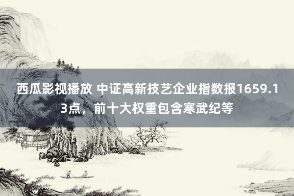 西瓜影视播放 中证高新技艺企业指数报1659.13点，前十大权重包含寒武纪等