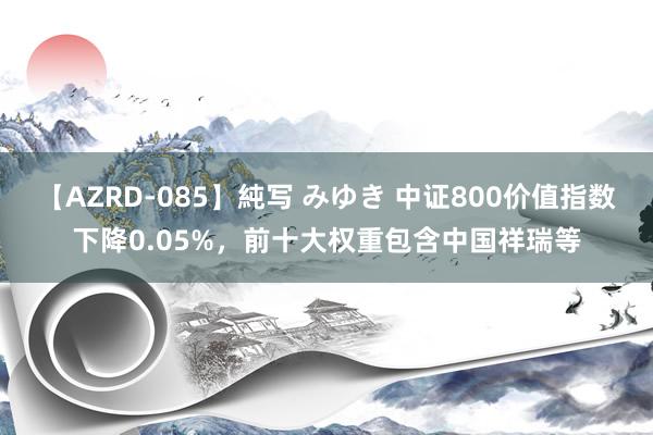 【AZRD-085】純写 みゆき 中证800价值指数下降0.05%，前十大权重包含中国祥瑞等