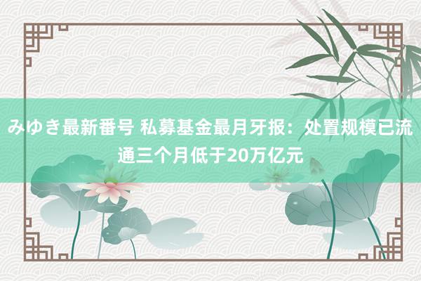 みゆき最新番号 私募基金最月牙报：处置规模已流通三个月低于20万亿元