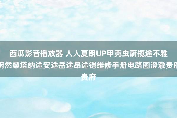 西瓜影音播放器 人人夏朗UP甲壳虫蔚揽途不雅蔚然桑塔纳途安途岳途昂途铠维修手册电路图澄澈贵府