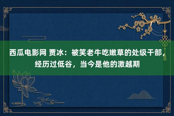 西瓜电影网 贾冰：被笑老牛吃嫩草的处级干部，经历过低谷，当今是他的激越期