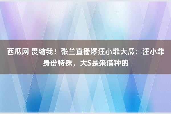 西瓜网 畏缩我！张兰直播爆汪小菲大瓜：汪小菲身份特殊，大S是来借种的