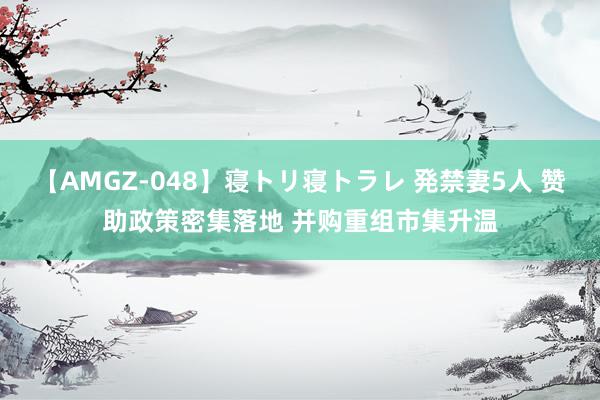 【AMGZ-048】寝トリ寝トラレ 発禁妻5人 赞助政策密集落地 并购重组市集升温