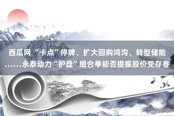 西瓜网 “卡点”停牌、扩大回购鸿沟、转型储能……永泰动力“护盘”组合拳能否提振股价受存眷