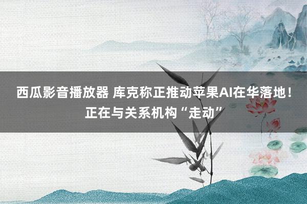 西瓜影音播放器 库克称正推动苹果AI在华落地！正在与关系机构“走动”