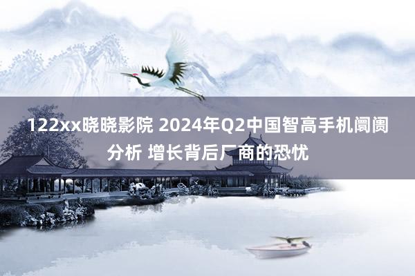 122xx晓晓影院 2024年Q2中国智高手机阛阓分析 增长背后厂商的恐忧