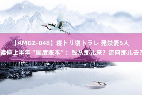 【AMGZ-048】寝トリ寝トラレ 発禁妻5人 读懂上半年“国度账本”：钱从那儿来？流向那儿去？