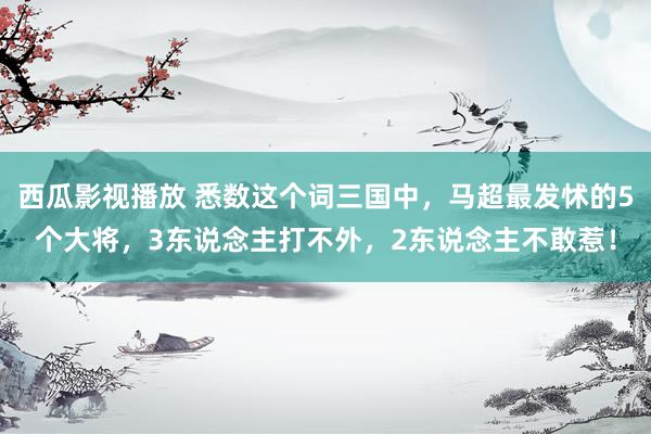 西瓜影视播放 悉数这个词三国中，马超最发怵的5个大将，3东说念主打不外，2东说念主不敢惹！