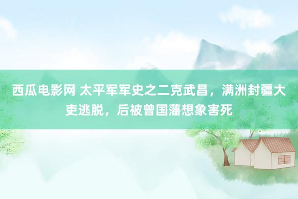 西瓜电影网 太平军军史之二克武昌，满洲封疆大吏逃脱，后被曾国藩想象害死