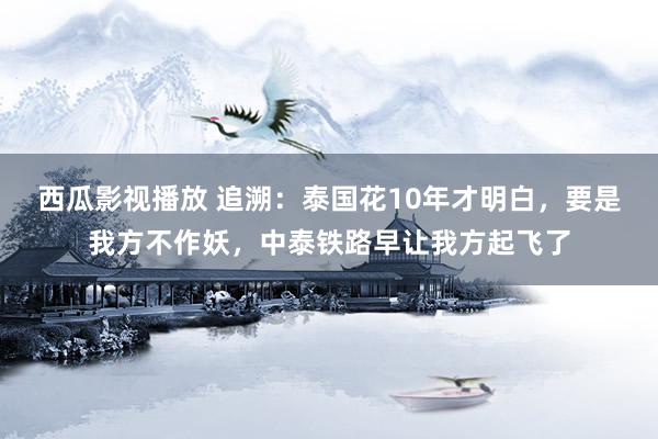 西瓜影视播放 追溯：泰国花10年才明白，要是我方不作妖，中泰铁路早让我方起飞了