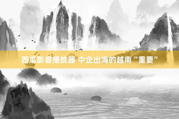 西瓜影音播放器 中企出海的越南“重要”