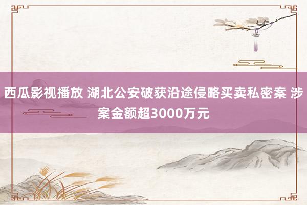 西瓜影视播放 湖北公安破获沿途侵略买卖私密案 涉案金额超3000万元