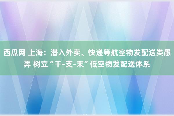 西瓜网 上海：潜入外卖、快递等航空物发配送类愚弄 树立“干-支-末”低空物发配送体系