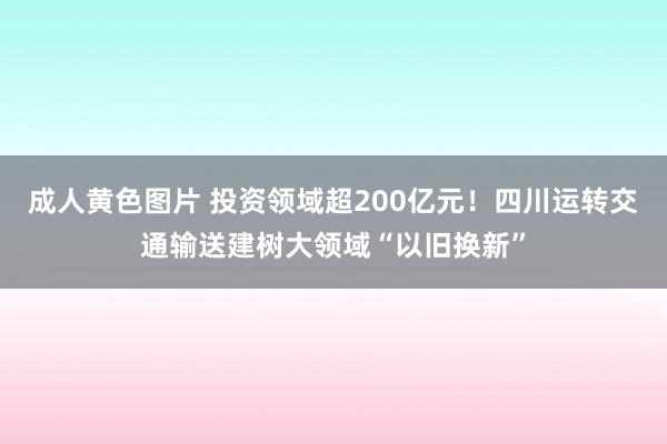 成人黄色图片 投资领域超200亿元！四川运转交通输送建树大领域“以旧换新”