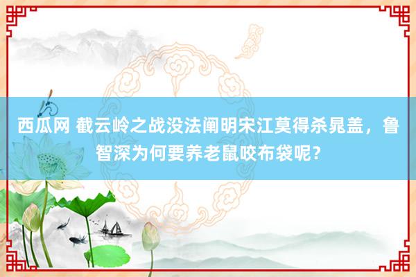 西瓜网 截云岭之战没法阐明宋江莫得杀晁盖，鲁智深为何要养老鼠咬布袋呢？