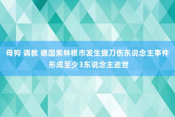 母狗 调教 德国索林根市发生握刀伤东说念主事件 形成至少3东说念主逝世